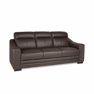 Leather Sofas