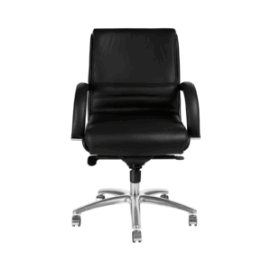 LEATHER LOW BACK CHAIR