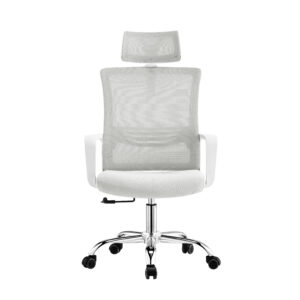 Ergonomic Mesh Chairs