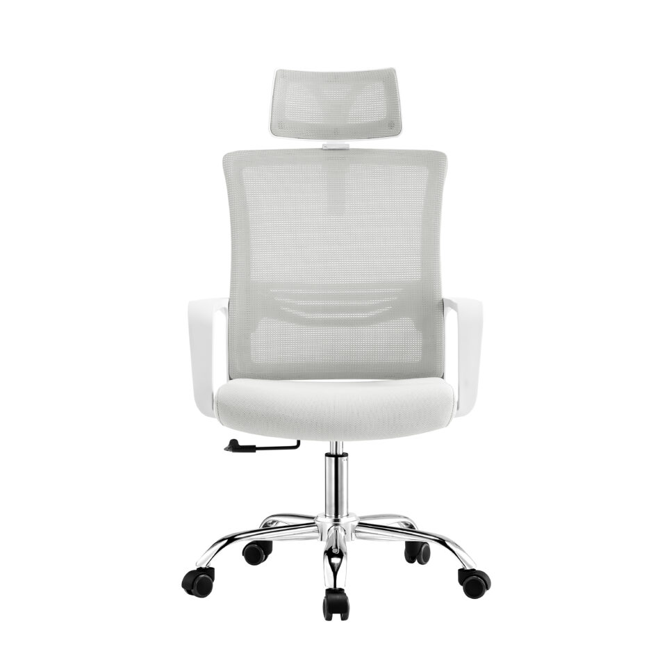 Ergonomic Mesh Chairs