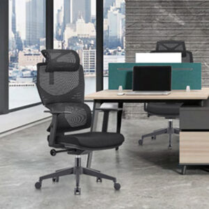Ergonomic high back mesh chair