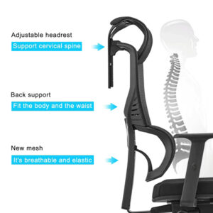 Ergonomic high back mesh chair