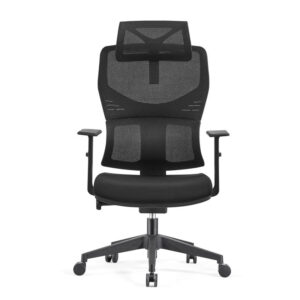 Ergonomic high back mesh chair