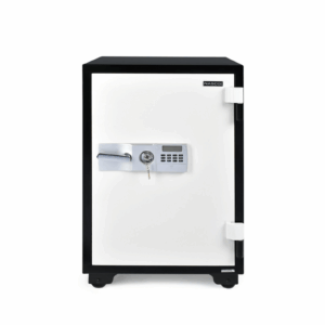 Fire Resistant Safe (195 kgs)