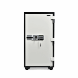 Fire Resistant Safe (260 kgs)