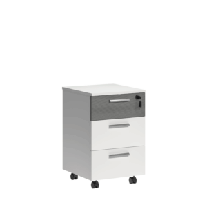 Mobile Pedestal – DGWMWS Series