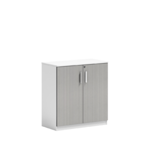 Low Cabinet with Lock – DGWMWS Series