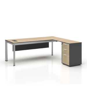 Executive Desk with Side Extension – DGMNY Series