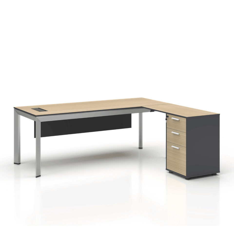 Executive Desk with Side Extension – DGMNY Series