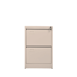 DZX29 2FC BG